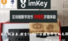 构建自己的未来：探索Python区块链平台的无限可
