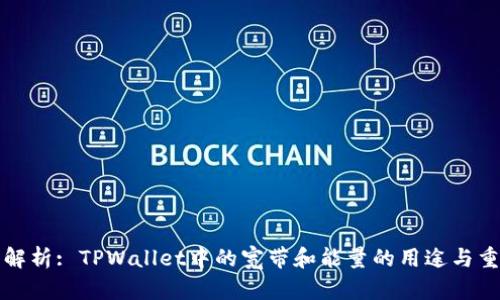 深入解析: TPWallet中的宽带和能量的用途与重要性