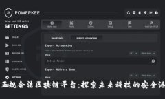 正规合法区块链平台：探索未来科技的安全港