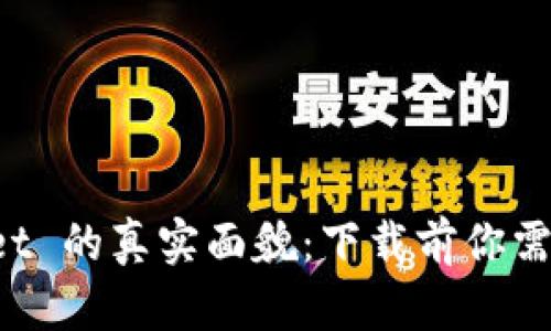 探索 TPWallet 的真实面貌：下载前你需要知道的真相