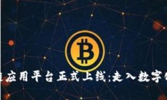 检察院区块链应用平台正式上线：走入数字化司