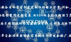 在BSN（Blockchain-based Service Network）生态系统中，出