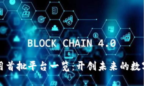 区块链应用首批平台一览：开创未来的数字经济之路